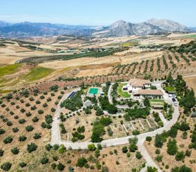 Casa en venta en Antequera (ref. CV2029) – foto 4